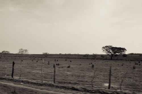 roadtrip-2