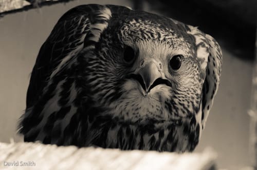 "You talkin' to me?"