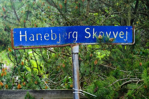 Hanebjerg Skovvej