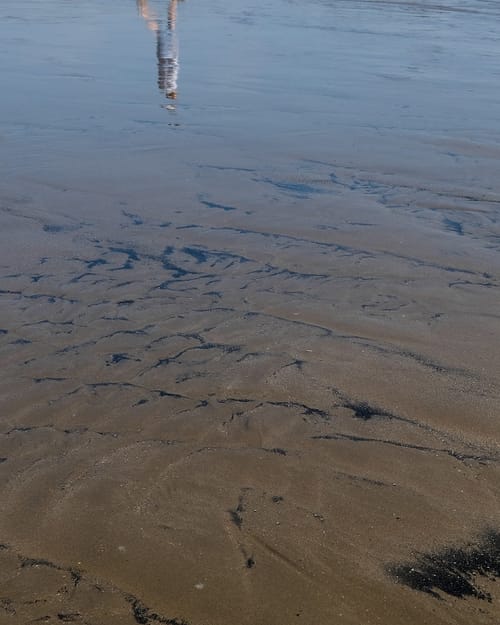 A day at the beach
