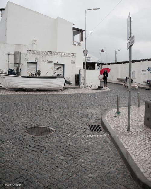 Red on a Grey Day