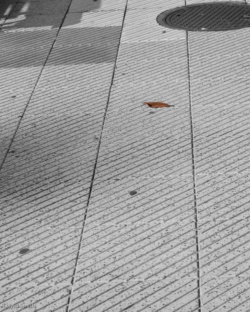 Autumn Leaves
